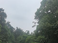-阿哈湖国家湿地公园