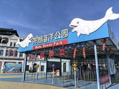 -芜湖新华联大白鲸海洋公园