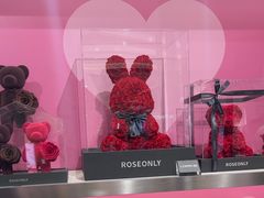 -ROSEONLY诺誓(沈阳万象城店)