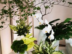 -海湾壹品·粤菜·早茶·烤鸭(拱北店)