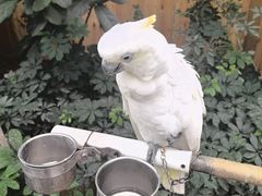 -南宫五洲植物乐园