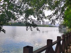 -南宁南湖公园