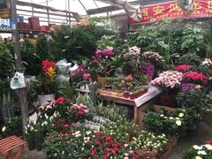 -秦美花卉(天朗·莱茵小城2期店)
