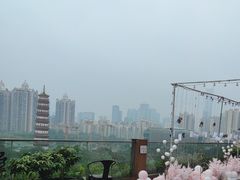 -小茶闲舍·观景商务茶馆(广州塔店)