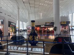 -郑州新郑国际机场