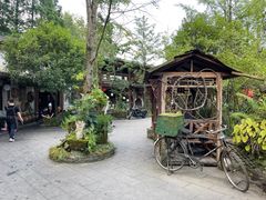 -青城甲(青城山店)