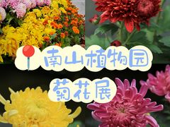 -南山植物园
