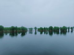 -白洋淀风景区