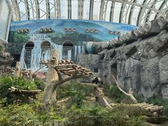 -石排湾郊野公园