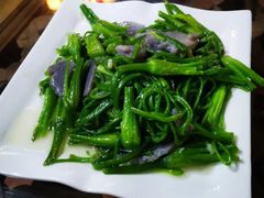 -阿兰白家宴