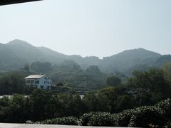 -龙井村