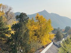 -潭柘寺景区