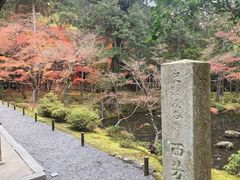 -西芳寺(苔寺)