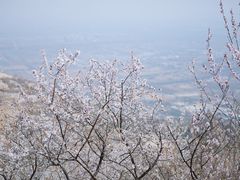 -北京凤凰岭