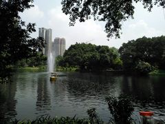 -晓港公园