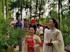 -合肥滨湖国家森林公园