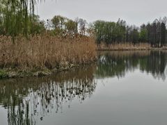 -长广溪湿地公园