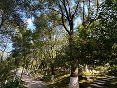 -楠溪江风景名胜区