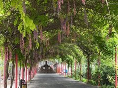 -河北村民俗体验园