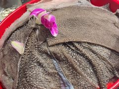 -醉董牛川派鲜肉自选火锅(烟台店)