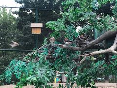 -西霞口神雕山野生动物世界