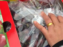 -双福水果批发市场