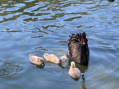 -广州长隆野生动物世界