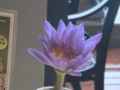 -泰香米泰国餐厅(鎏嘉码头店)