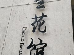 -野象谷景区