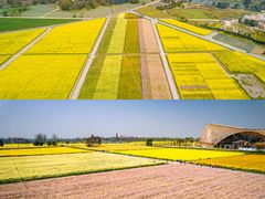 -中国天府农业博览园