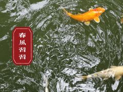 -春风习习