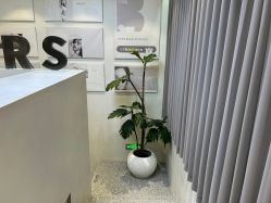 -三只熊皮肤管理中心旗舰店