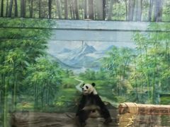 -灵玲国际马戏城