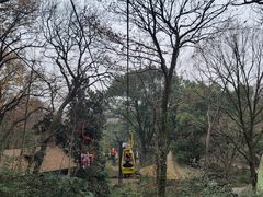-紫金山索道-售票处