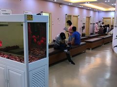 -慈铭体检(洋桥分院)