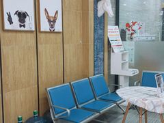 -瑞派名望志远动物医院·猫科·內科·异宠专科(直港大道店)