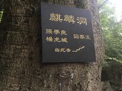 -黔灵山公园-南门售票处