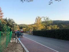 -龙寺生态园