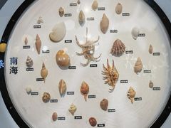 -海合安青岛极地海洋公园