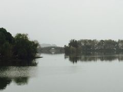 -上海市保健医疗中心(华东疗养院)