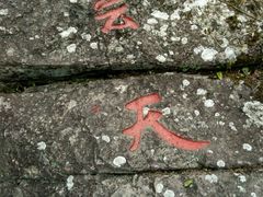 -江西阳明山国家森林公园