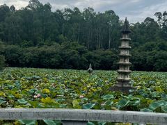 -南国桃园旅游度假区