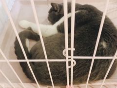 -董小姐咖妃·咖啡·简餐.意面(松江大学城店)