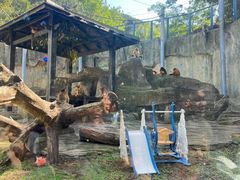 -大连森林动物园