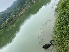 -后柳水乡