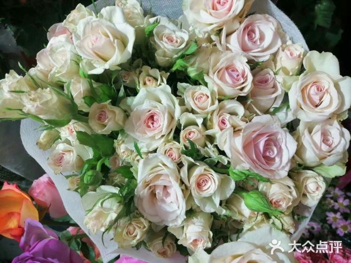 长春青怡坊鲜花批发(青怡坊花鸟市场店)图片