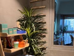 -施奈儿.洗头頭療.按摩SPA.采耳(上梅林店)