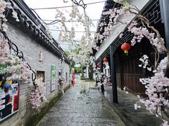 -中山詹园