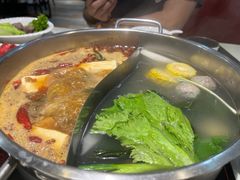 -潮牛禾记•潮汕鲜牛肉火锅(新亚洲店)