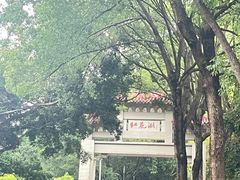 -红花湖景区